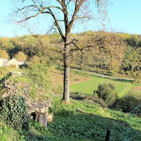 Confortable Avec Jardin, Pres De Sarlat Et Des Beaux Villages De France - Fr-1-616-25 Apartment