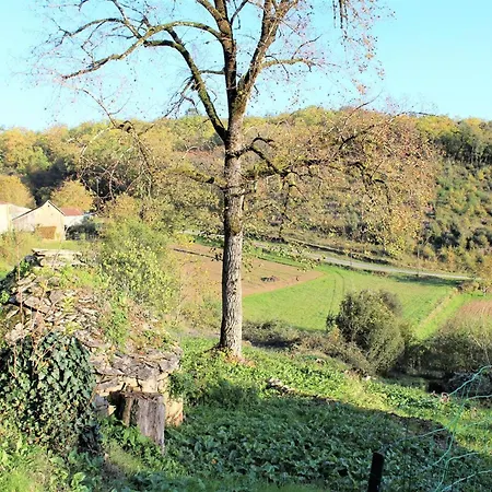 Confortable Avec Jardin, Pres De Sarlat Et Des Beaux Villages De France - Fr-1-616-25