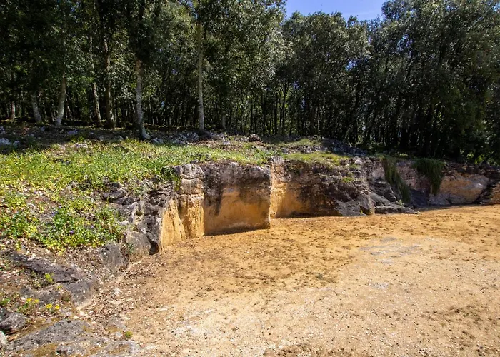 Proche De Sarlat Pour Des Tranquilles - Fr-1-616-25 La Roque-Gageac